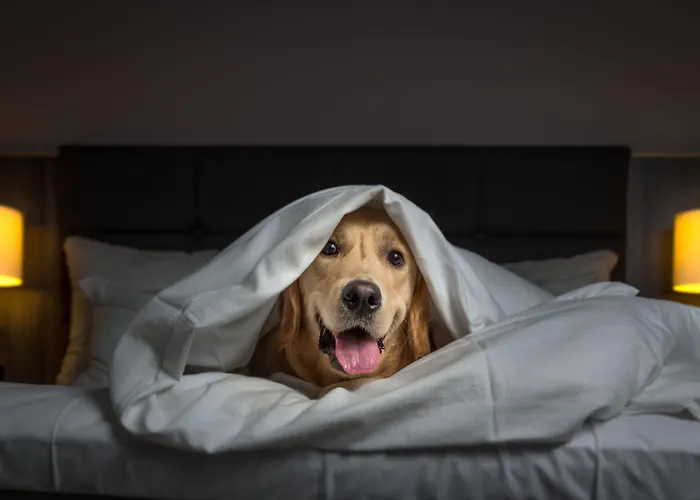 Clarion Oslo Airport